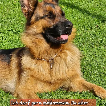 Dom wakacyjny Doenschten *